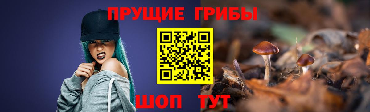 Галлюциногенные грибы MAGIC MUSHROOMS  Вход с VPN  Гай 